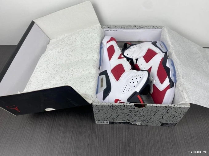 Cheap Sleek 4032 Jordan6  Carmine CT8529- 1013